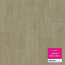 Линолеум Tarkett Triumph MASTER OAK 3  | FLOORDEALER